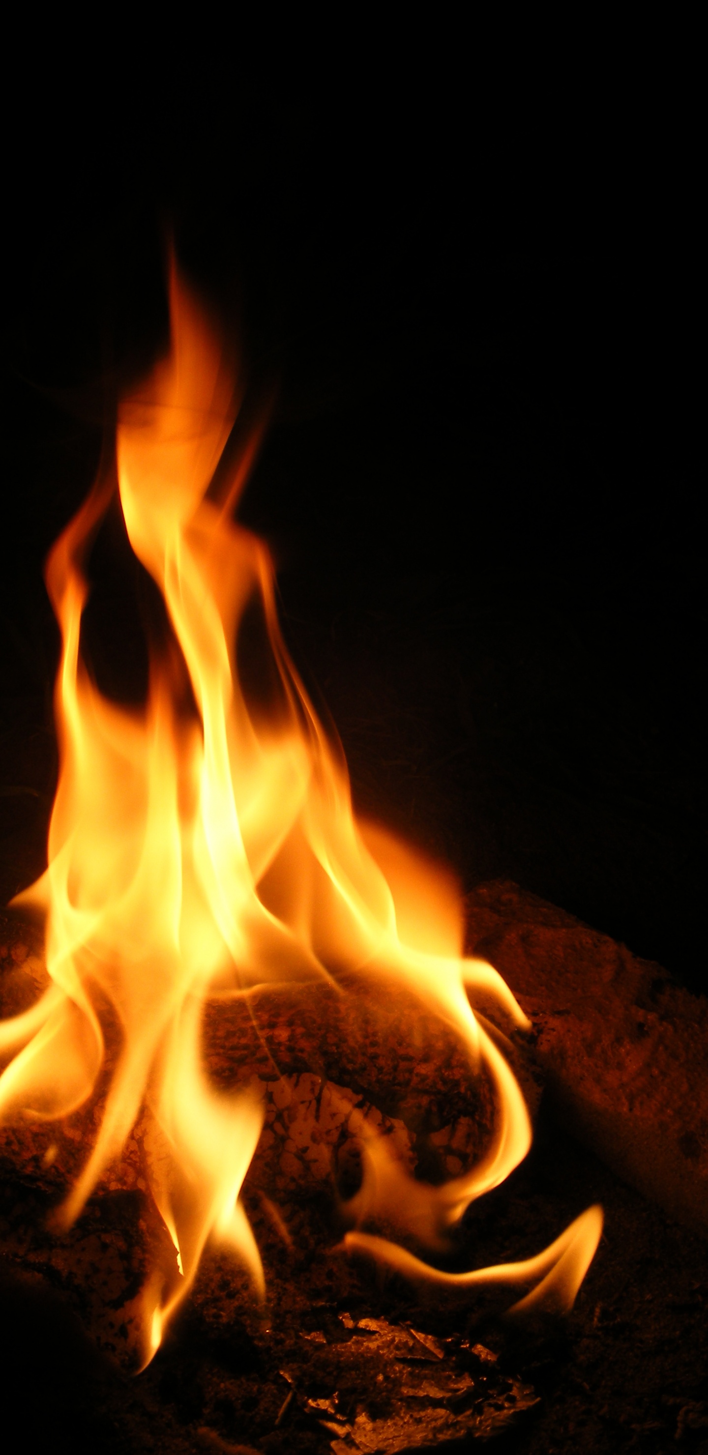 Обои огонь, пламя, тепло, костер, не мое слово как огонь в разрешении 1440x2960