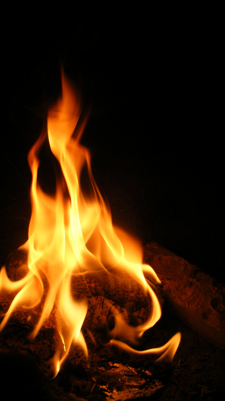 Обои огонь, пламя, тепло, костер, не мое слово как огонь в разрешении 750x1334