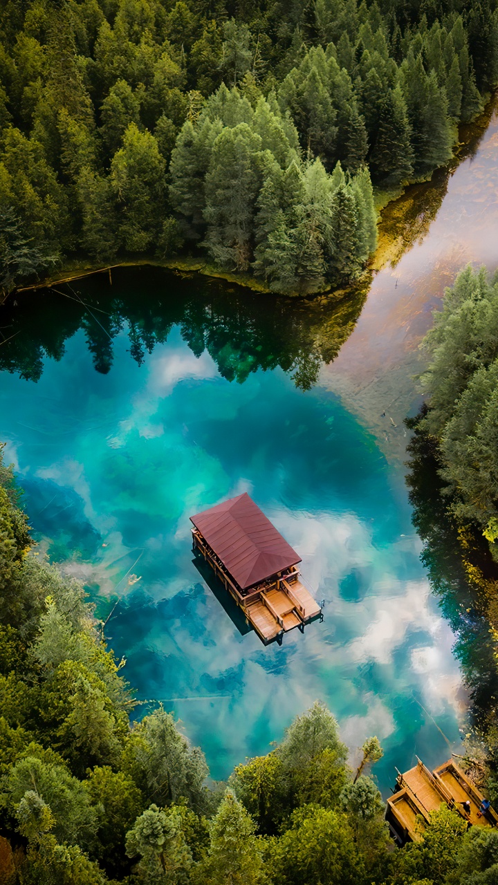 Обои природа, вода, гидроресурсы, растение, зеленый в разрешении 720x1280