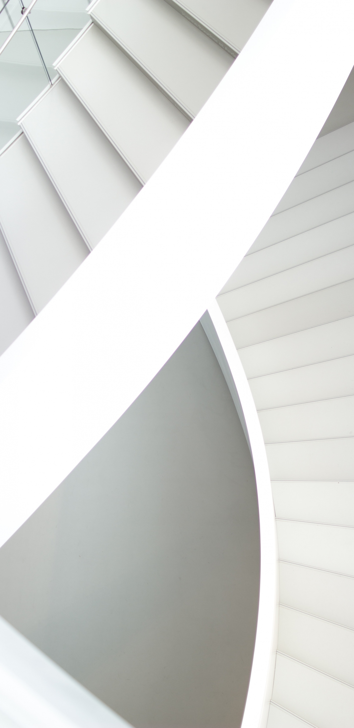 Обои архитектура, белые, стена, потолок, линия в разрешении 1440x2960