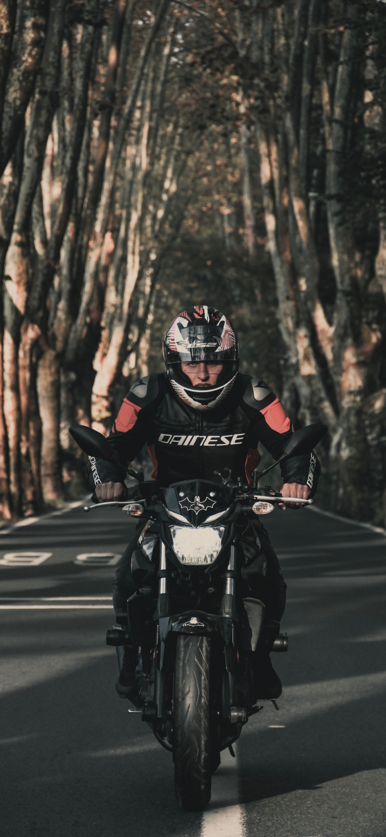 Обои мотоцикл, мотоспорт, шлем, дорога, дерево в разрешении 1242x2688