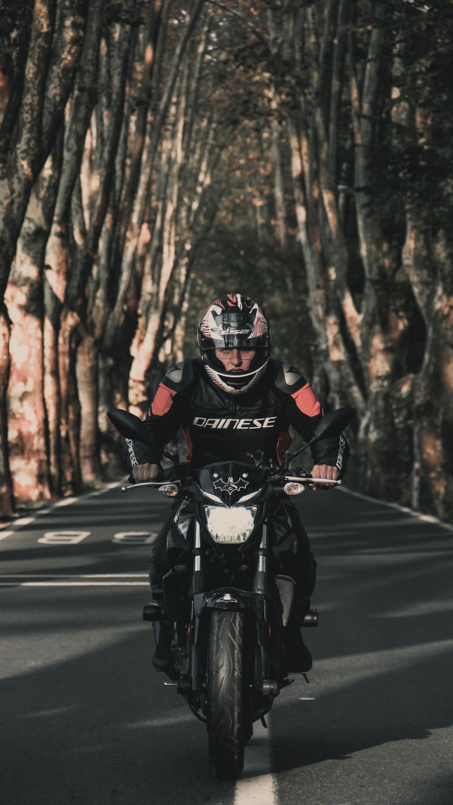 Обои мотоцикл, мотоспорт, шлем, дорога, дерево в разрешении 1440x2560