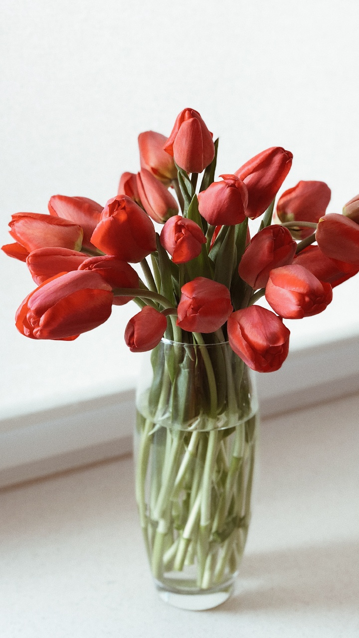 Обои срезанные цветы, цветочный дизайн, цветковое растение, ваза, тюльпаны в разрешении 720x1280