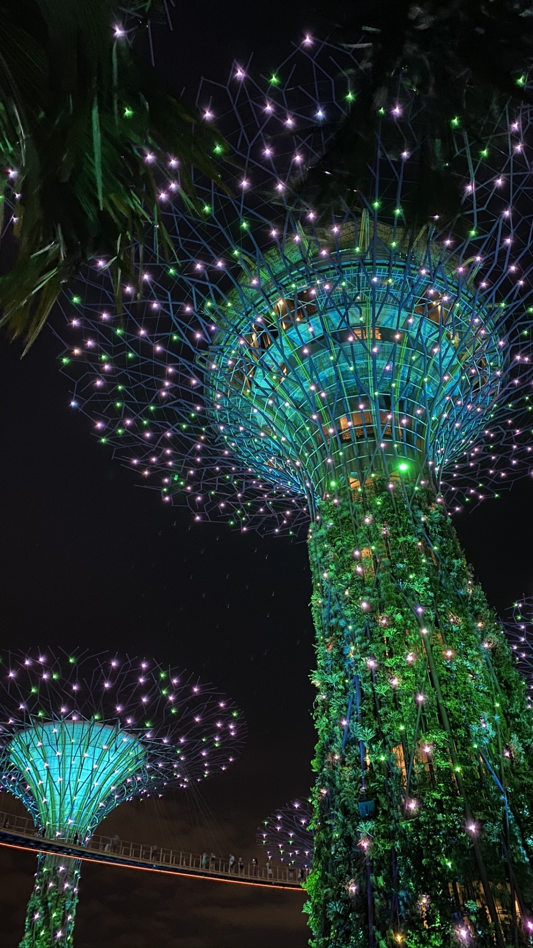 Обои Сингапур, свет, Рождественские огни, освещение, зеленый в разрешении 1080x1920