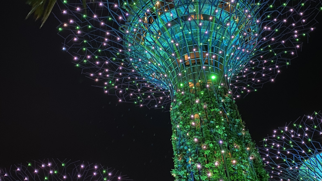 Обои Сингапур, свет, Рождественские огни, освещение, зеленый в разрешении 1280x720