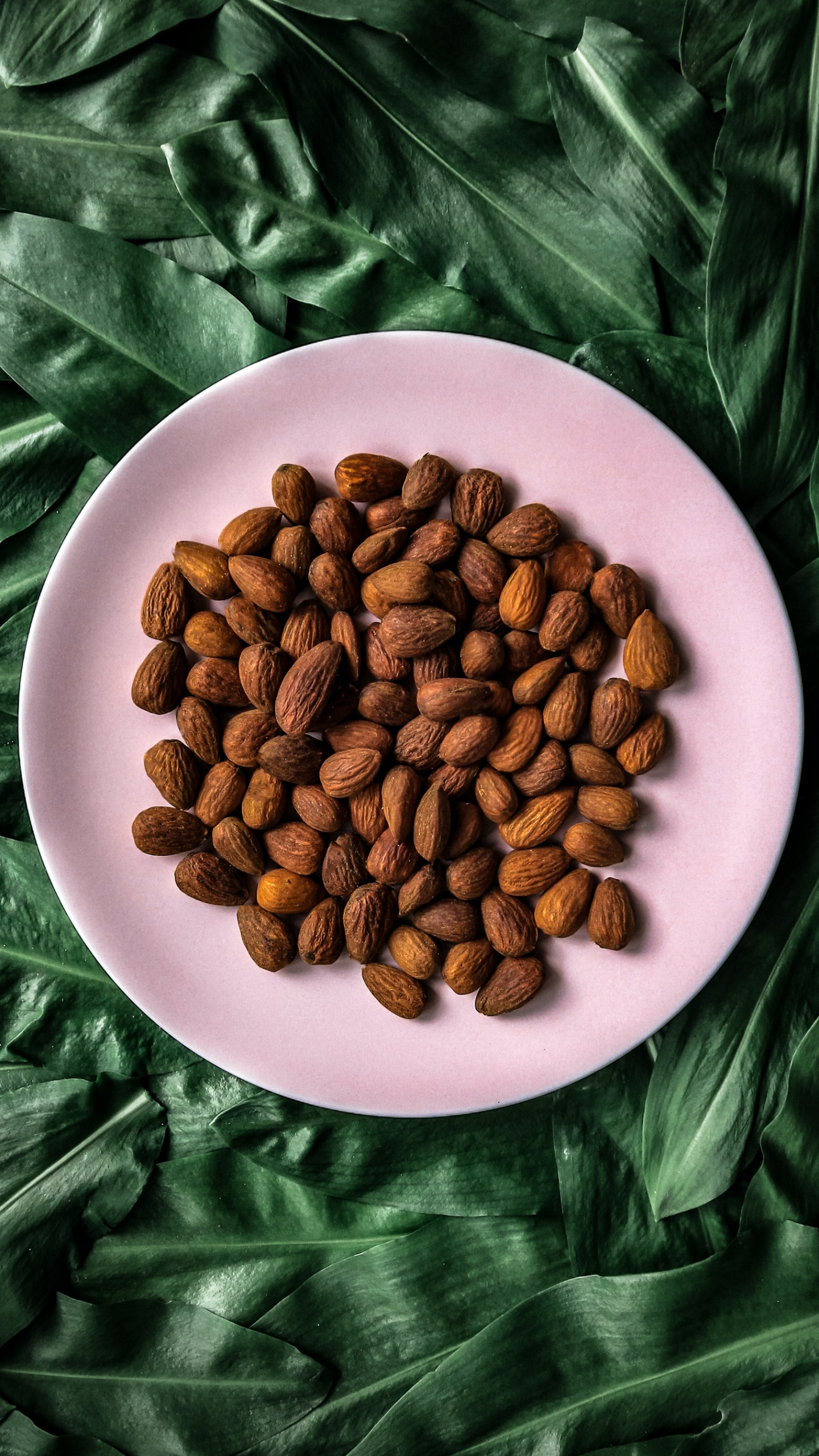 Обои гайка, Федвелл сенопати, пища, Одного происхождения кофе, ингредиент в разрешении 1440x2560