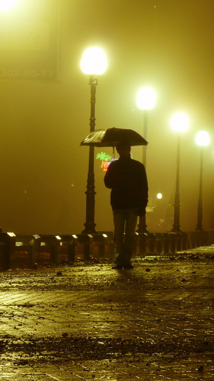 Обои вечер, уличный фонарь, свет, освещение, ночь в разрешении 750x1334