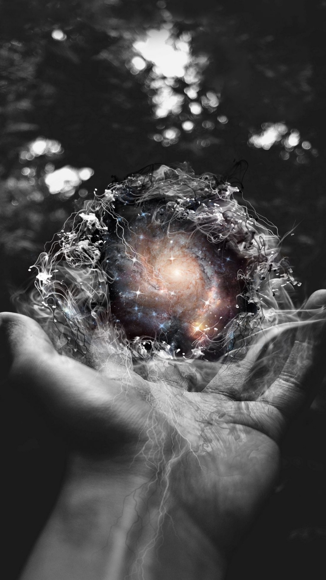 Обои вода, дерево, астрономический объект, круг, Люди в природе в разрешении 1080x1920