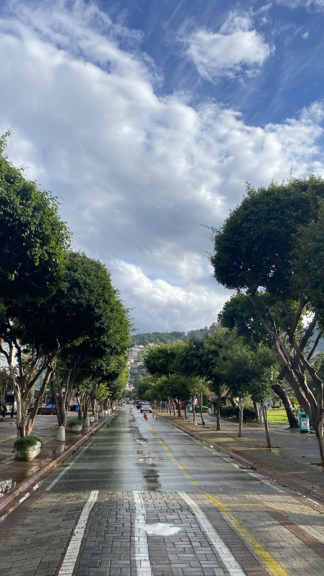 Обои дорожное покрытие, облако, растение, асфальт, дерево в разрешении 1080x1920