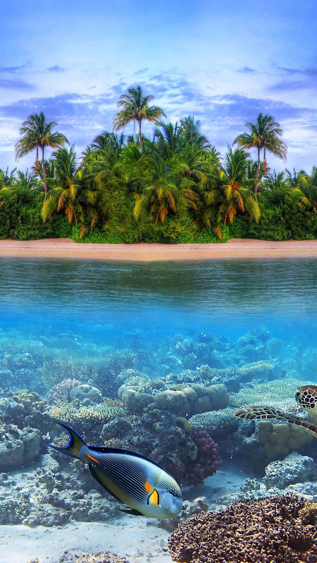 Обои Остров, море, тропическая зона, Карибский бассейн, океан в разрешении 1080x1920