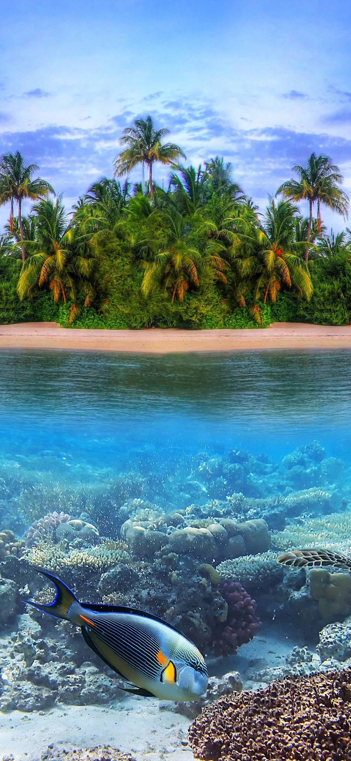 Обои Остров, море, тропическая зона, Карибский бассейн, океан в разрешении 1125x2436