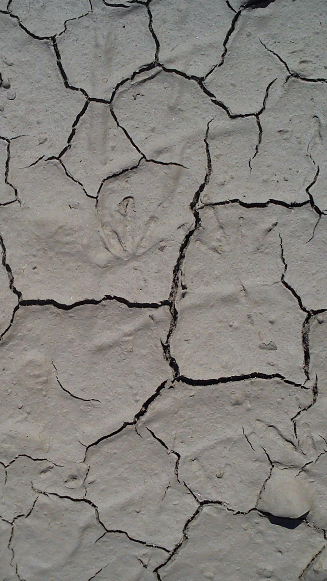 Обои почва, засуха, узор, дорожное покрытие, газета в разрешении 1080x1920