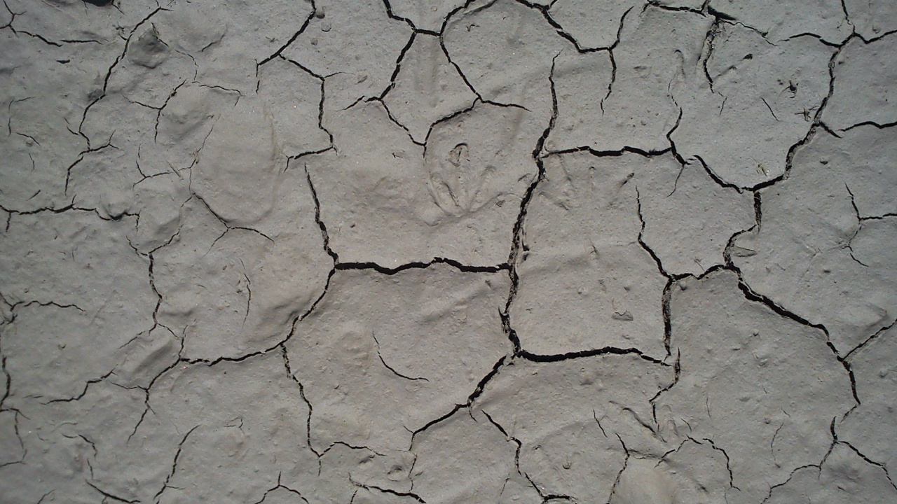 Обои почва, засуха, узор, дорожное покрытие, газета в разрешении 1280x720