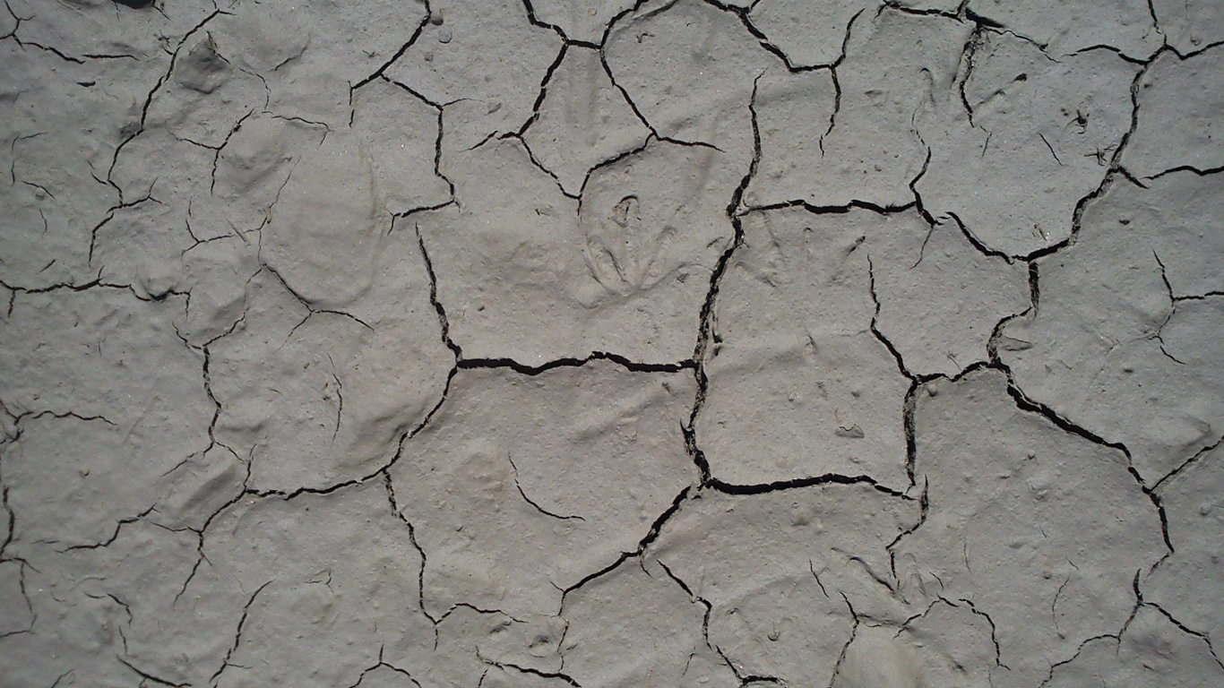 Обои почва, засуха, узор, дорожное покрытие, газета в разрешении 1366x768