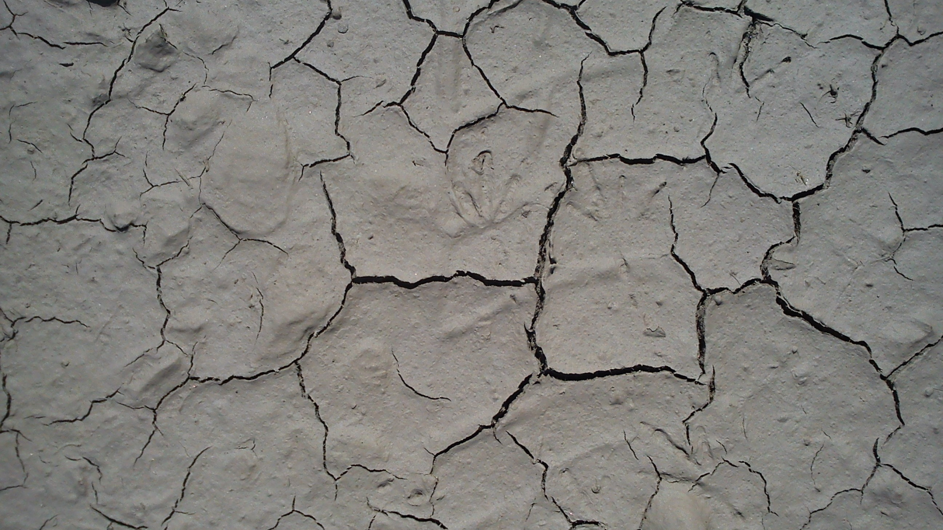 Обои почва, засуха, узор, дорожное покрытие, газета в разрешении 1920x1080