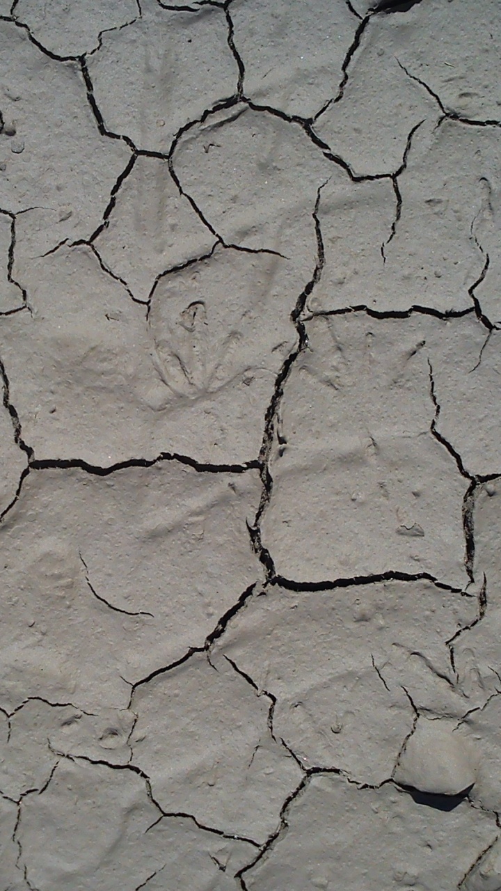 Обои почва, засуха, узор, дорожное покрытие, газета в разрешении 720x1280