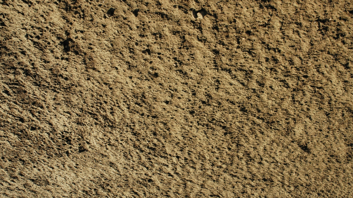 Обои почва, песок, гравий, рок, трава в разрешении 1366x768