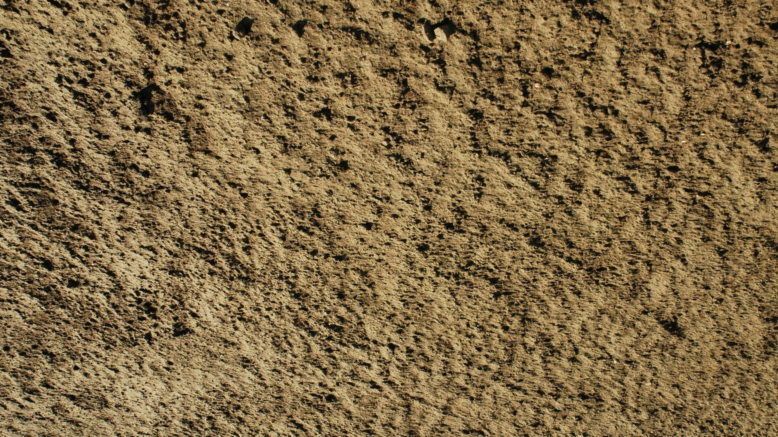 Обои почва, песок, гравий, рок, трава в разрешении 2560x1440