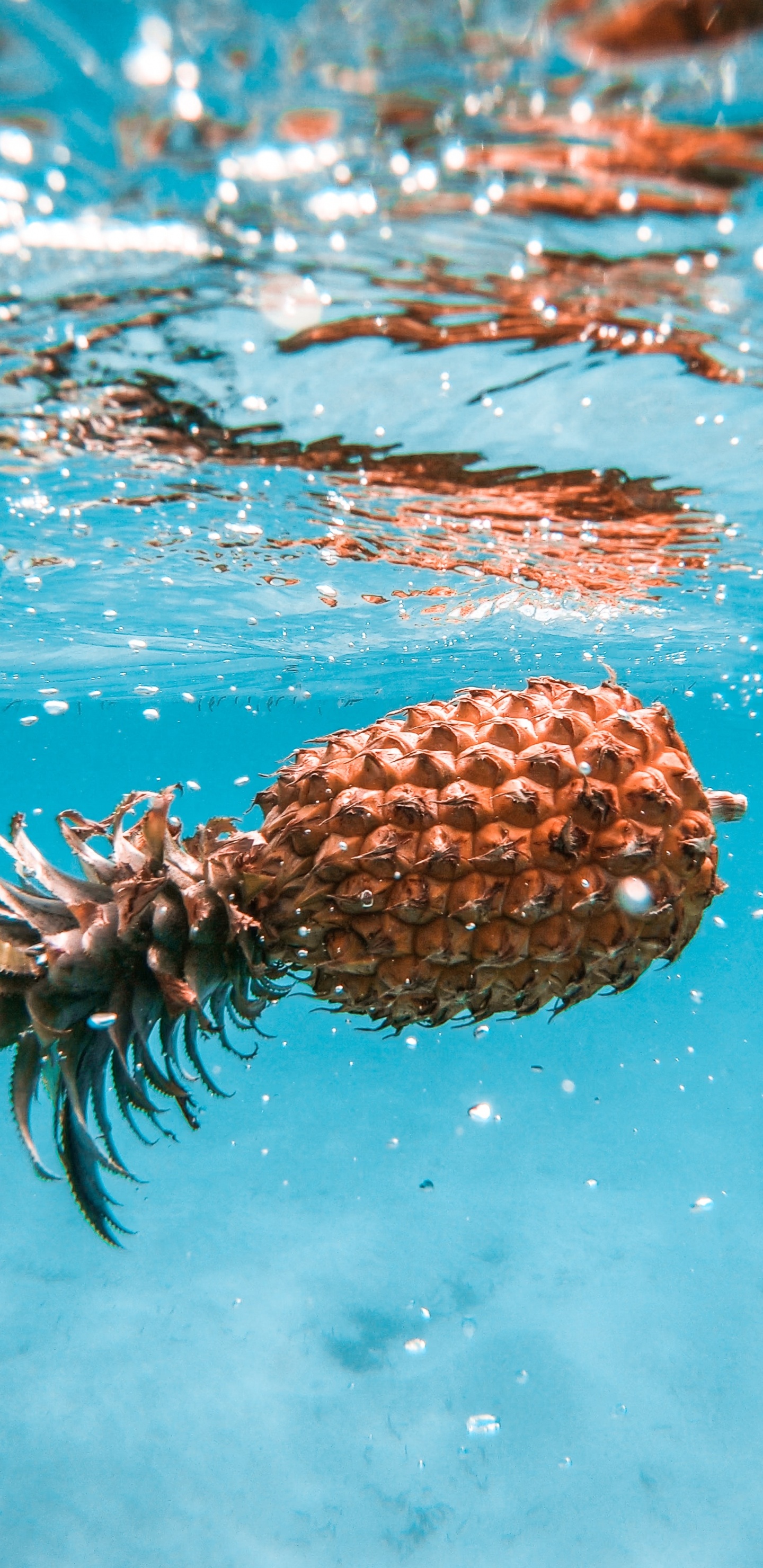 Обои ананас, лимон, ананас яблоко, фрукты, вода в разрешении 1440x2960