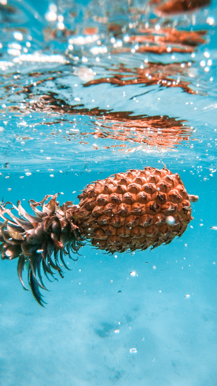 Обои ананас, лимон, ананас яблоко, фрукты, вода в разрешении 750x1334