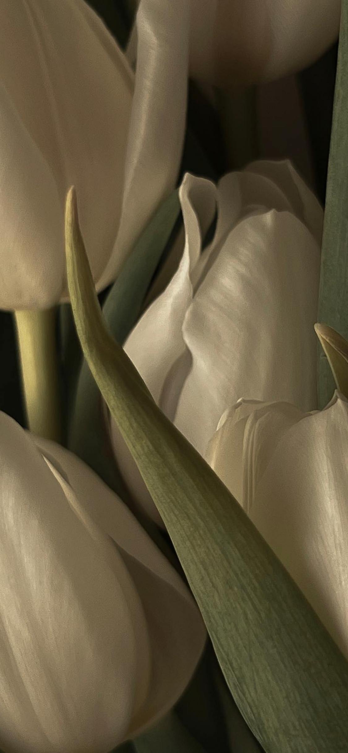 Обои тюльпаны, цветок, серьга, лепесток, наземное растение в разрешении 1125x2436