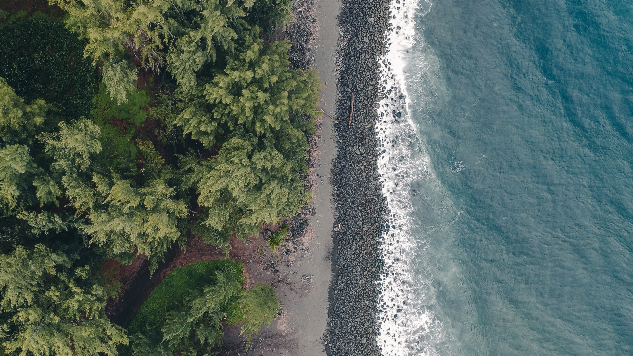 Обои вода, гидроресурсы, растительность, побережье, водоток в разрешении 1280x720