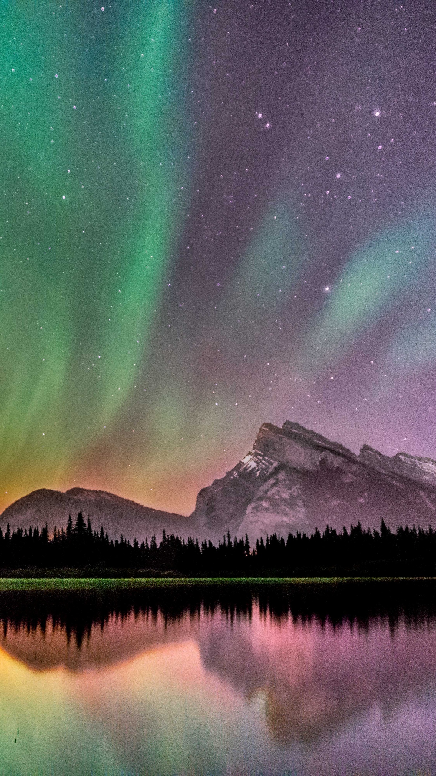 Обои банфф, Аврора, природа, природный ландшафт, зеленый в разрешении 1440x2560