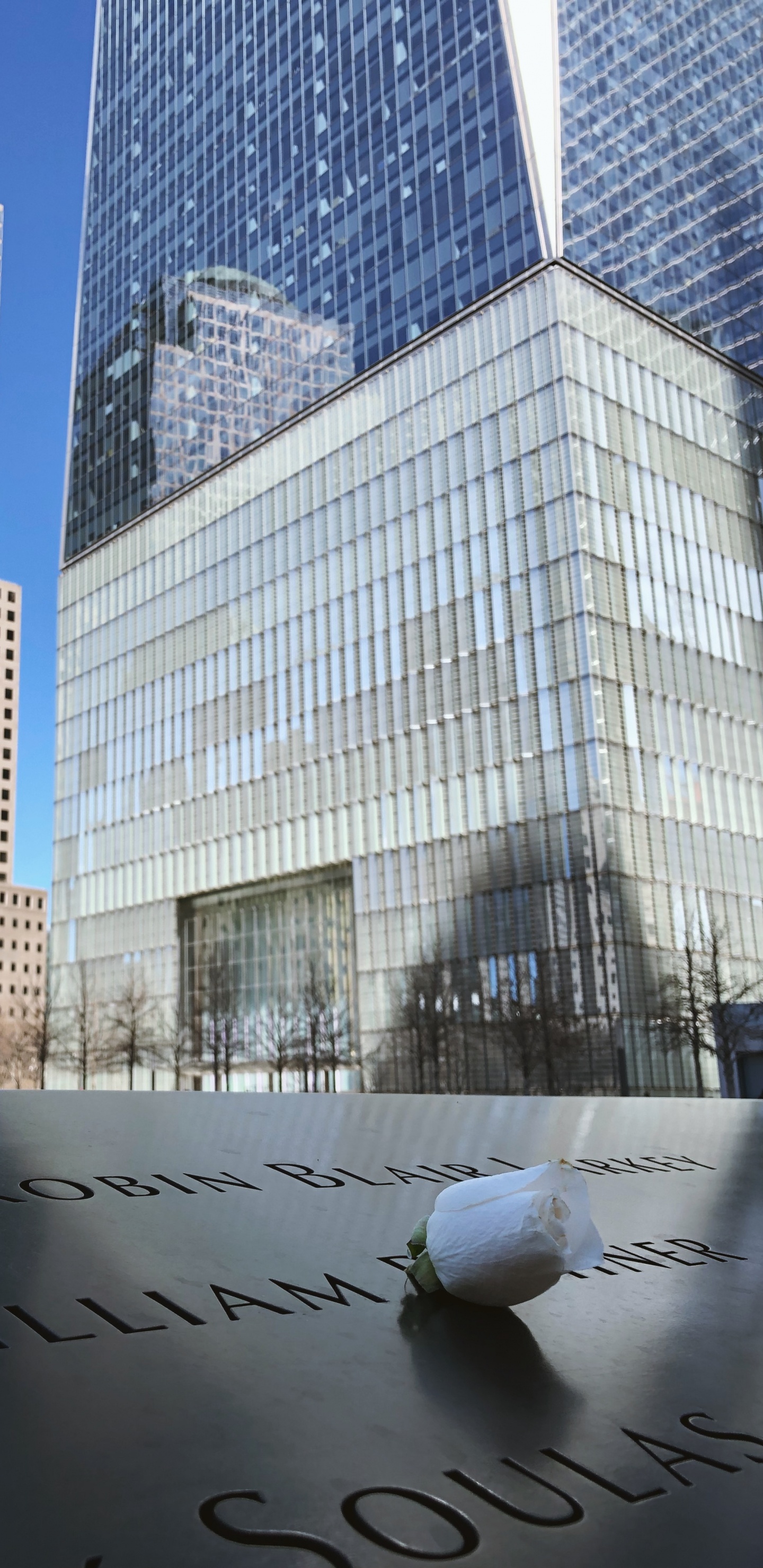 Обои архитектура, фасад, небоскреб, дневное время, городской район в разрешении 1440x2960