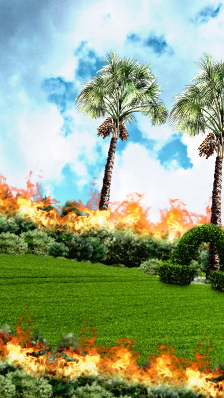 Обои природа, облако, растение, дневное время, растительное сообщество в разрешении 720x1280