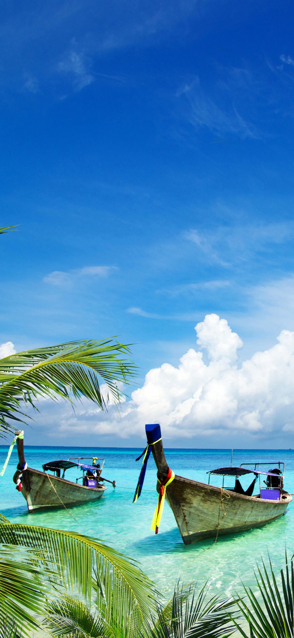 Обои пляж, море, тропическая зона, природа, Карибский бассейн в разрешении 1125x2436