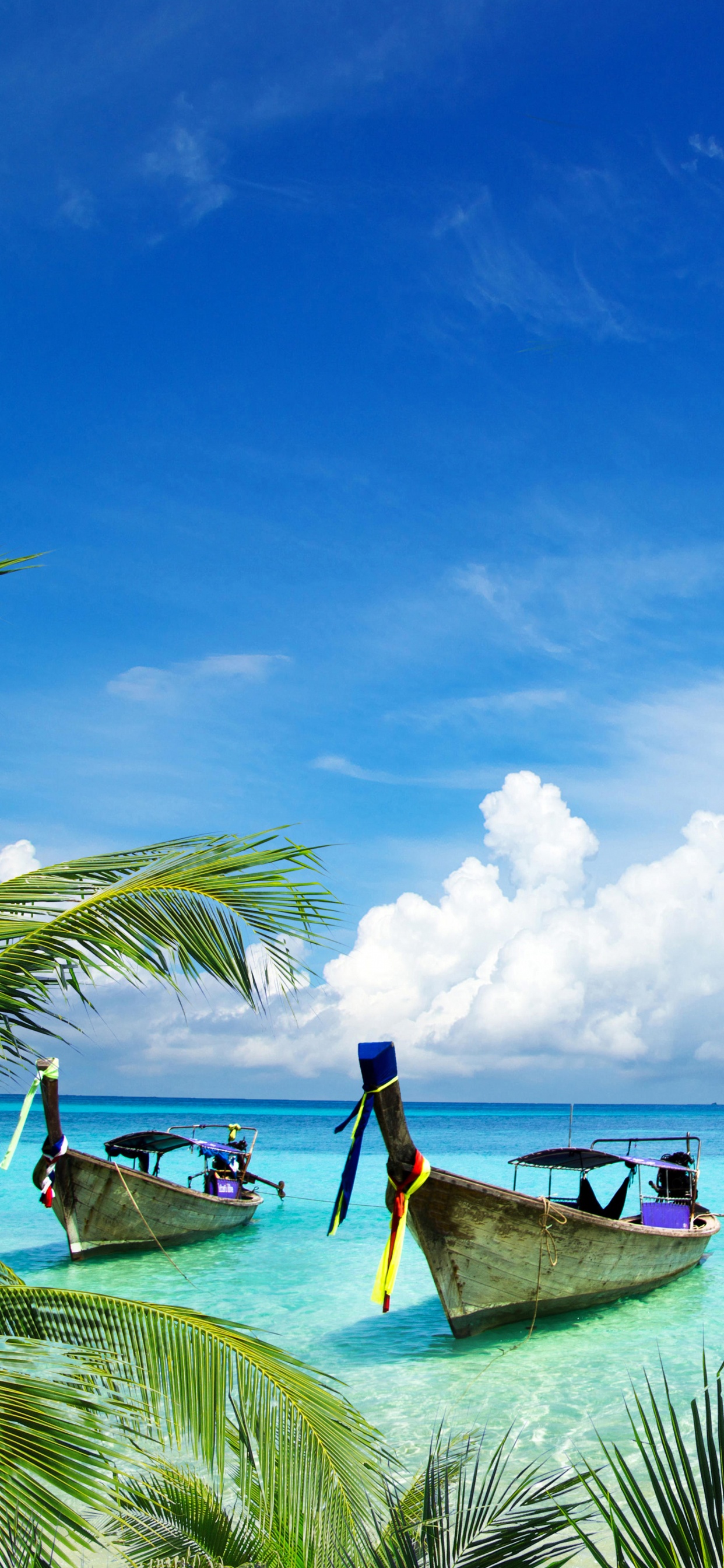 Обои пляж, море, тропическая зона, природа, Карибский бассейн в разрешении 1242x2688