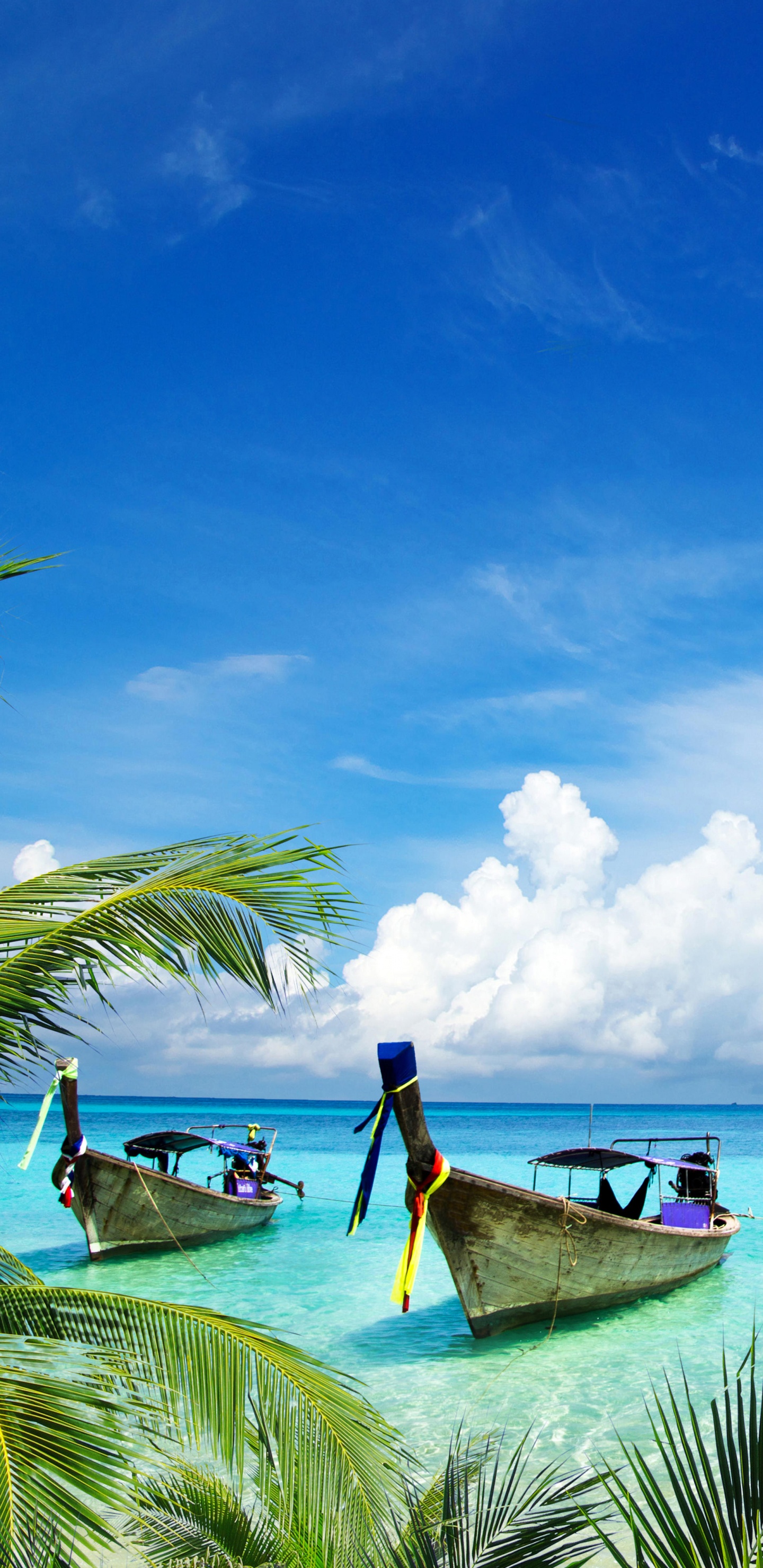 Обои пляж, море, тропическая зона, природа, Карибский бассейн в разрешении 1440x2960