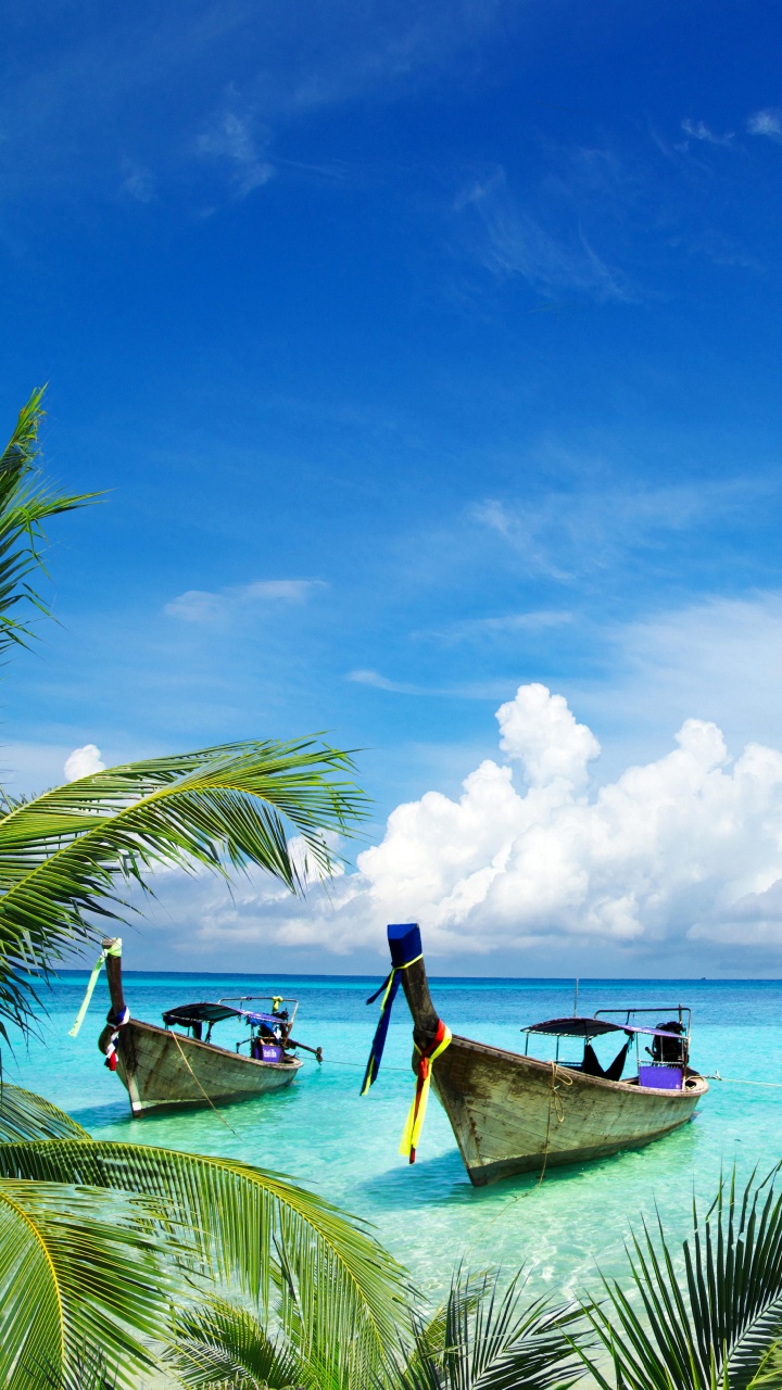 Обои пляж, море, тропическая зона, природа, Карибский бассейн в разрешении 720x1280