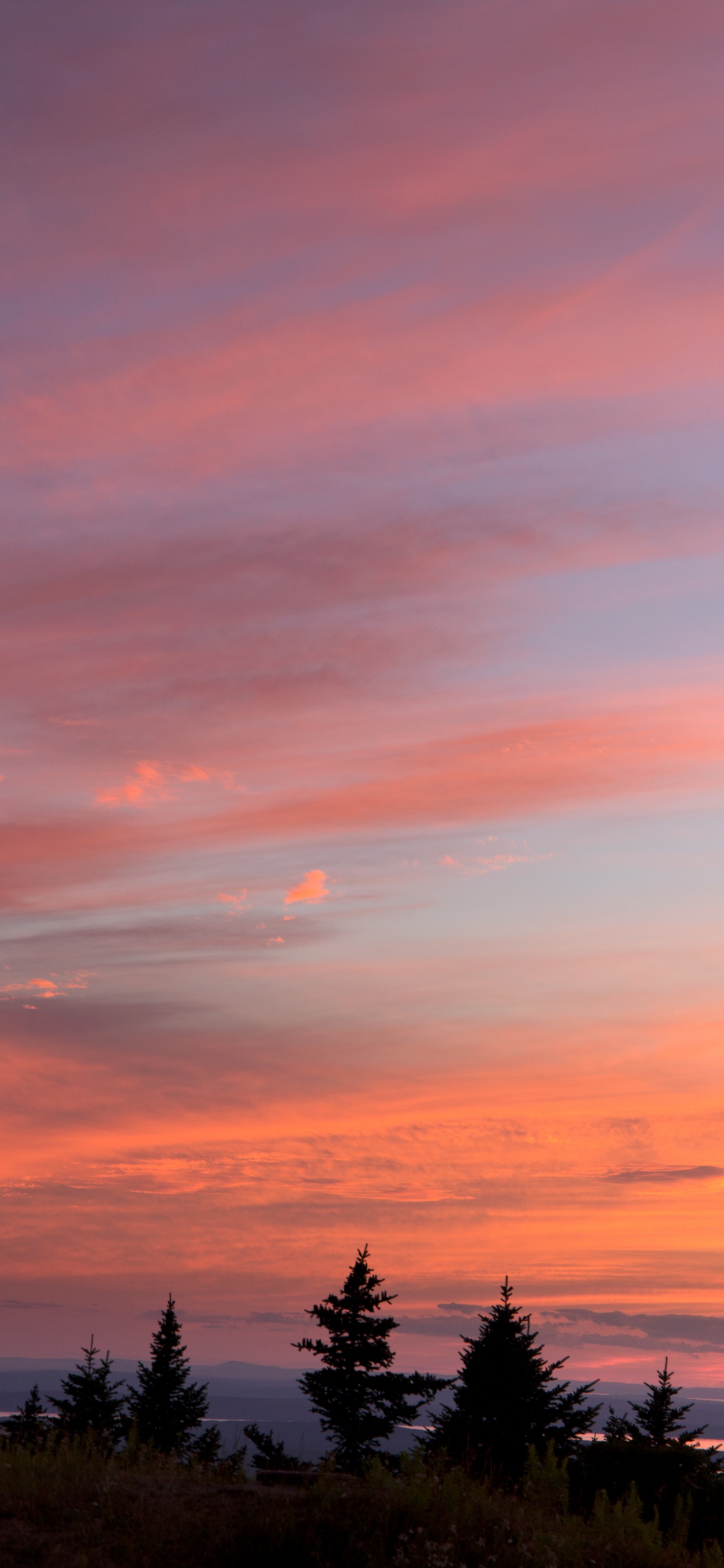 Обои закат, восход солнца, послесвечение, облако, горизонт в разрешении 1242x2688
