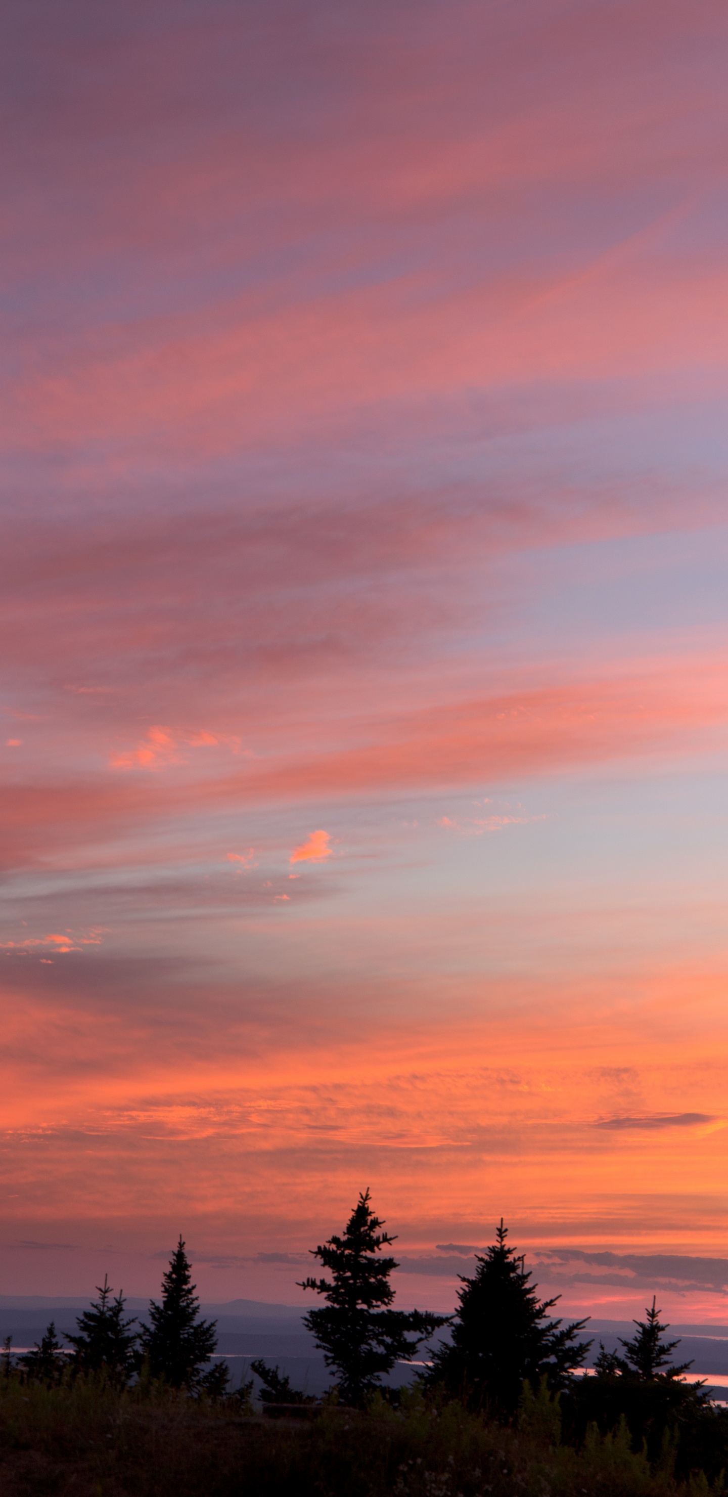 Обои закат, восход солнца, послесвечение, облако, горизонт в разрешении 1440x2960