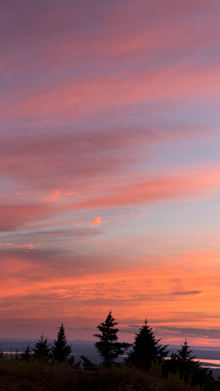 Обои закат, восход солнца, послесвечение, облако, горизонт в разрешении 750x1334