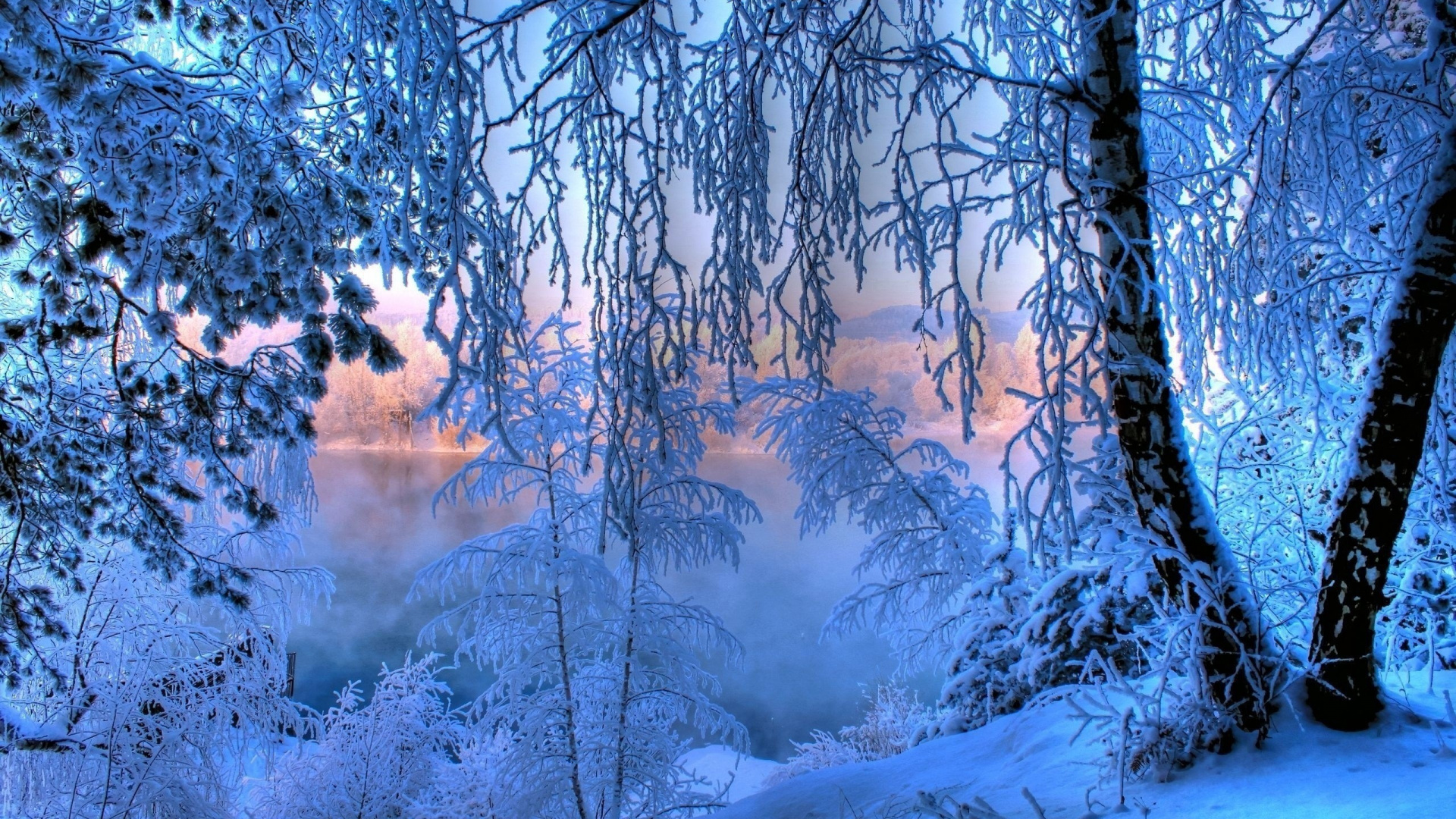 Обои зима, снег, мороз, синий, дерево в разрешении 1920x1080