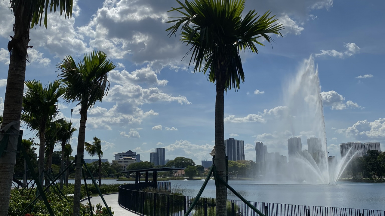 Обои пальмовые рощи, вода, облако, дерево, древесные растения в разрешении 1280x720