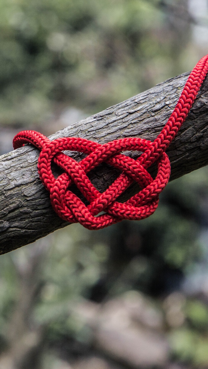 Обои веревка, узел, ветвь, прут, дерево в разрешении 720x1280