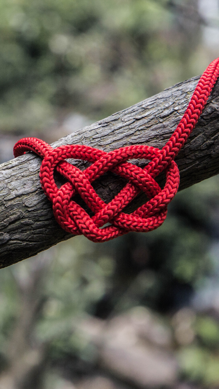 Обои веревка, узел, ветвь, прут, дерево в разрешении 750x1334