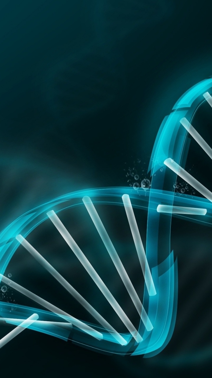 Обои синий, свет, электрик, синий электрик, линия в разрешении 720x1280