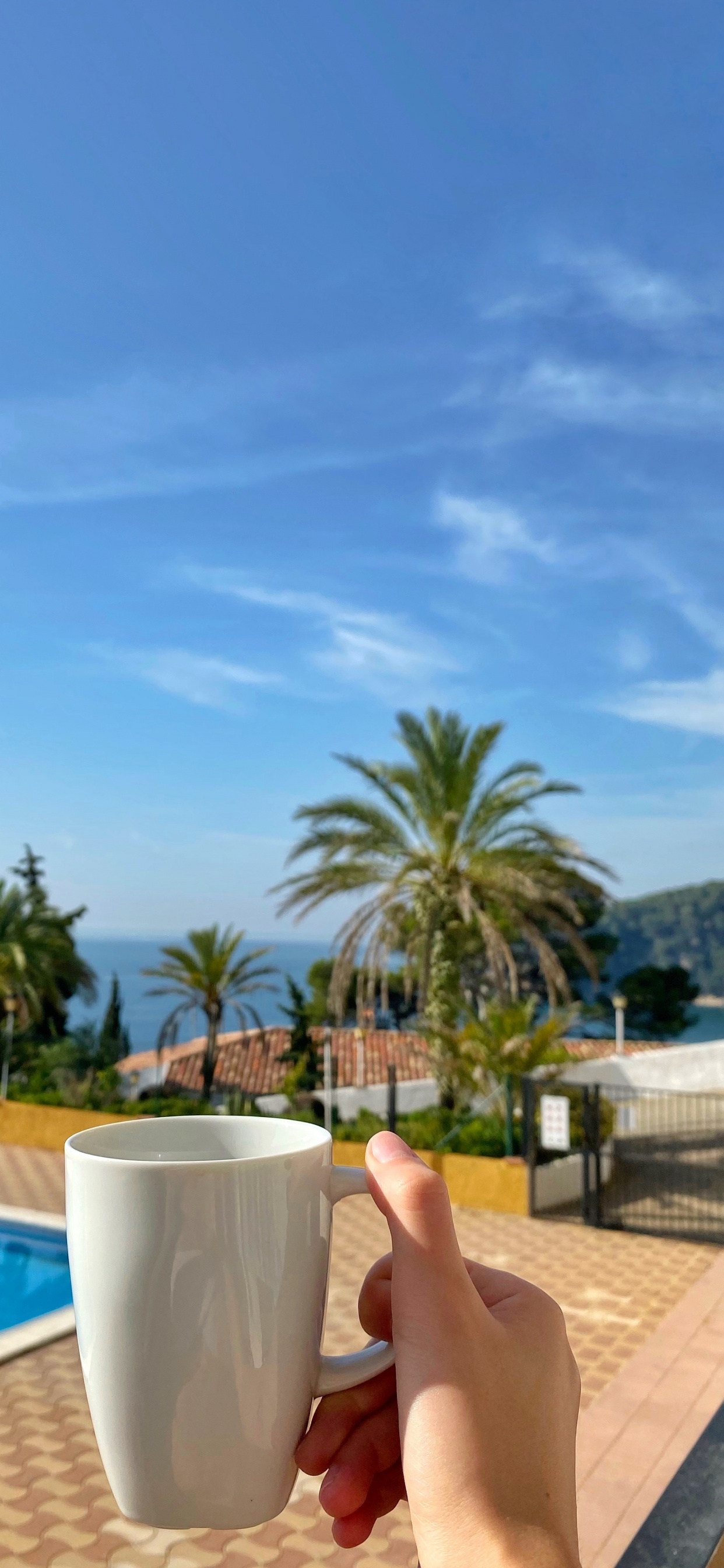 Обои плавательный бассейн, пальмовые рощи, недвижимость, лазурный, Аква в разрешении 1242x2688