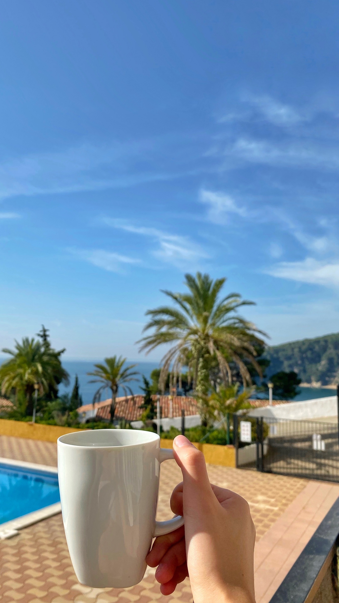 Обои плавательный бассейн, пальмовые рощи, недвижимость, лазурный, Аква в разрешении 1440x2560