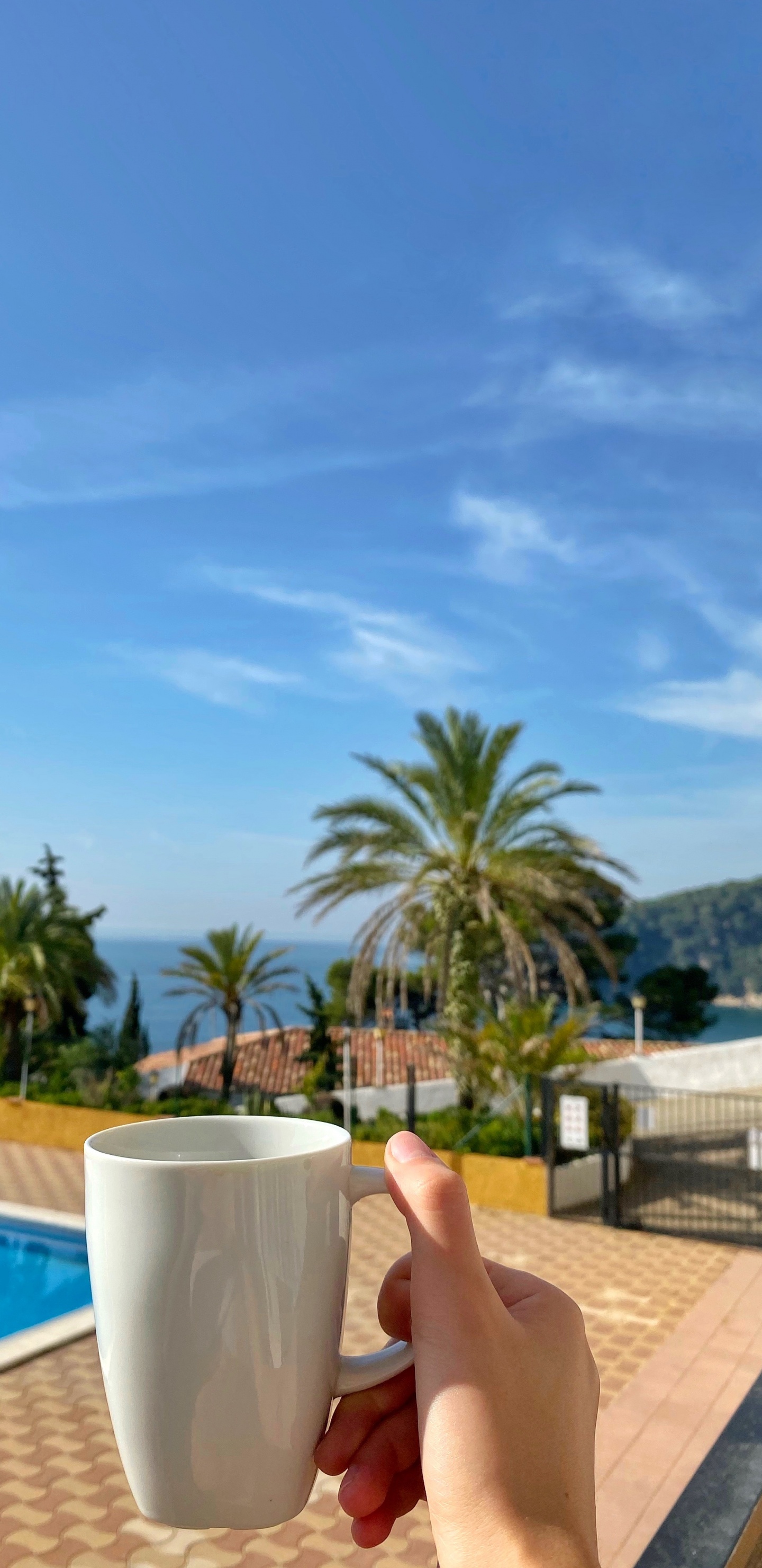 Обои плавательный бассейн, пальмовые рощи, недвижимость, лазурный, Аква в разрешении 1440x2960