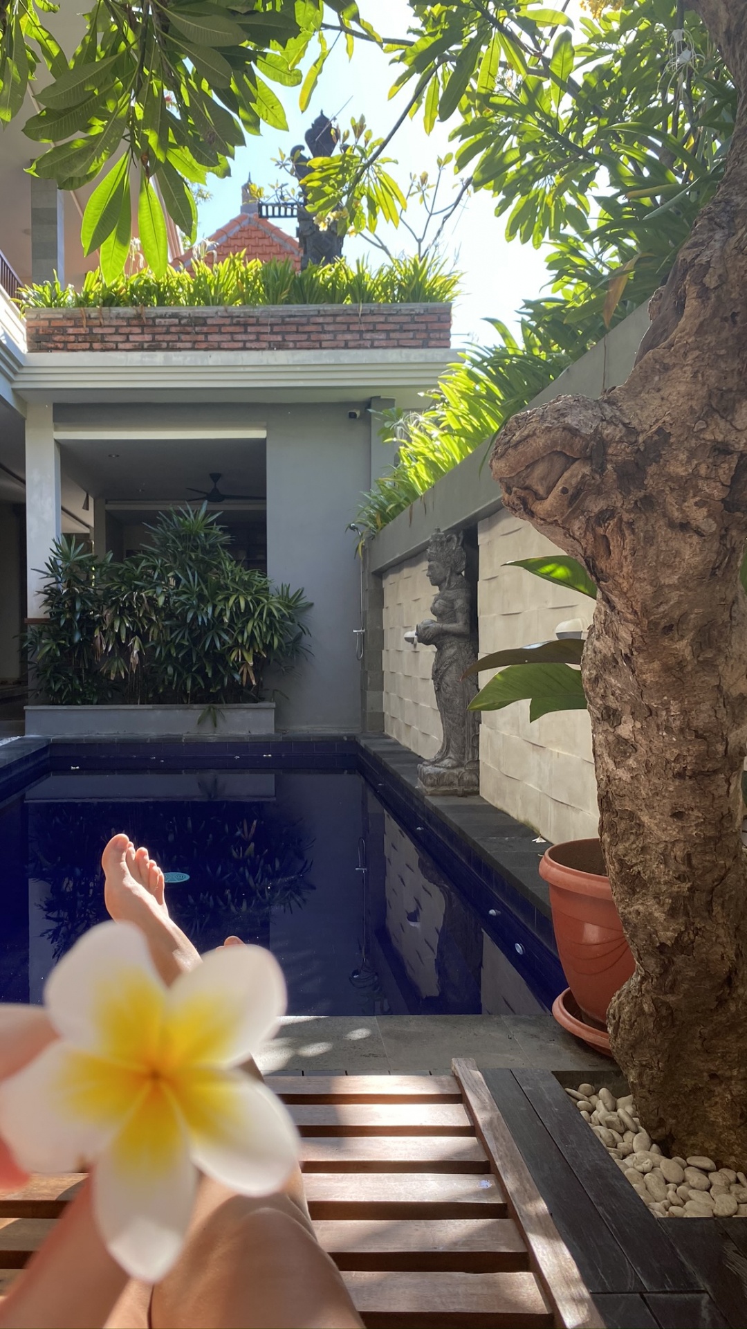 Обои Хаус, плавательный бассейн, недвижимость, свойство, лепесток в разрешении 1080x1920