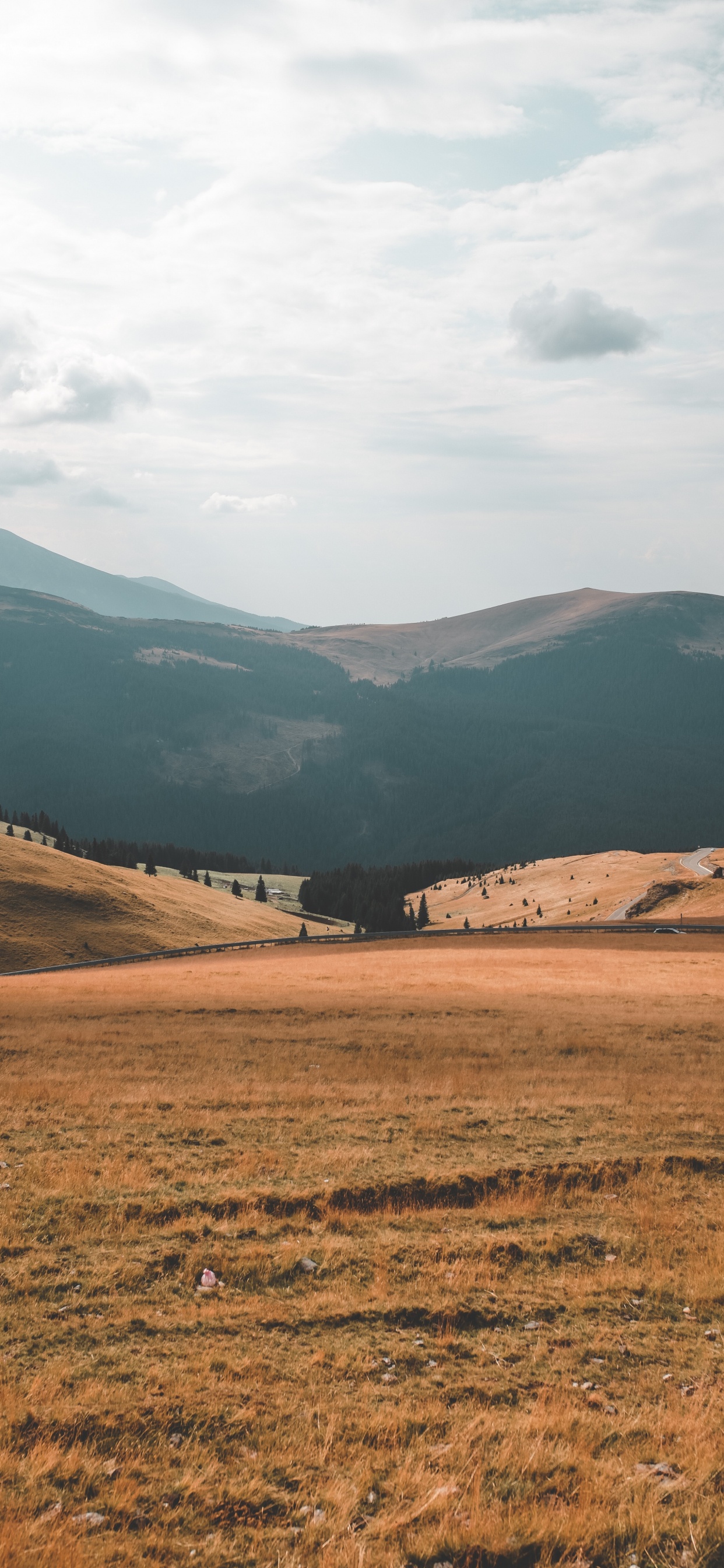 Обои сенокосное угодье, нагорье, окружающая среда, горный рельеф, холм в разрешении 1242x2688