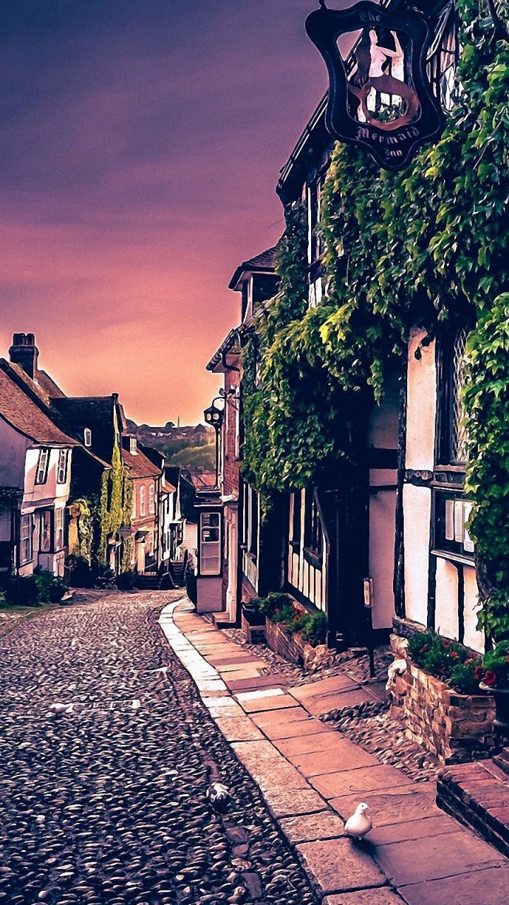 Обои улица, городок, дерево, соседство, стена в разрешении 720x1280