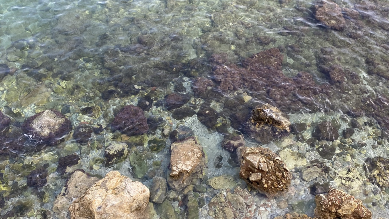 Обои море, коралловый риф, морская биология, риф, наука в разрешении 1366x768