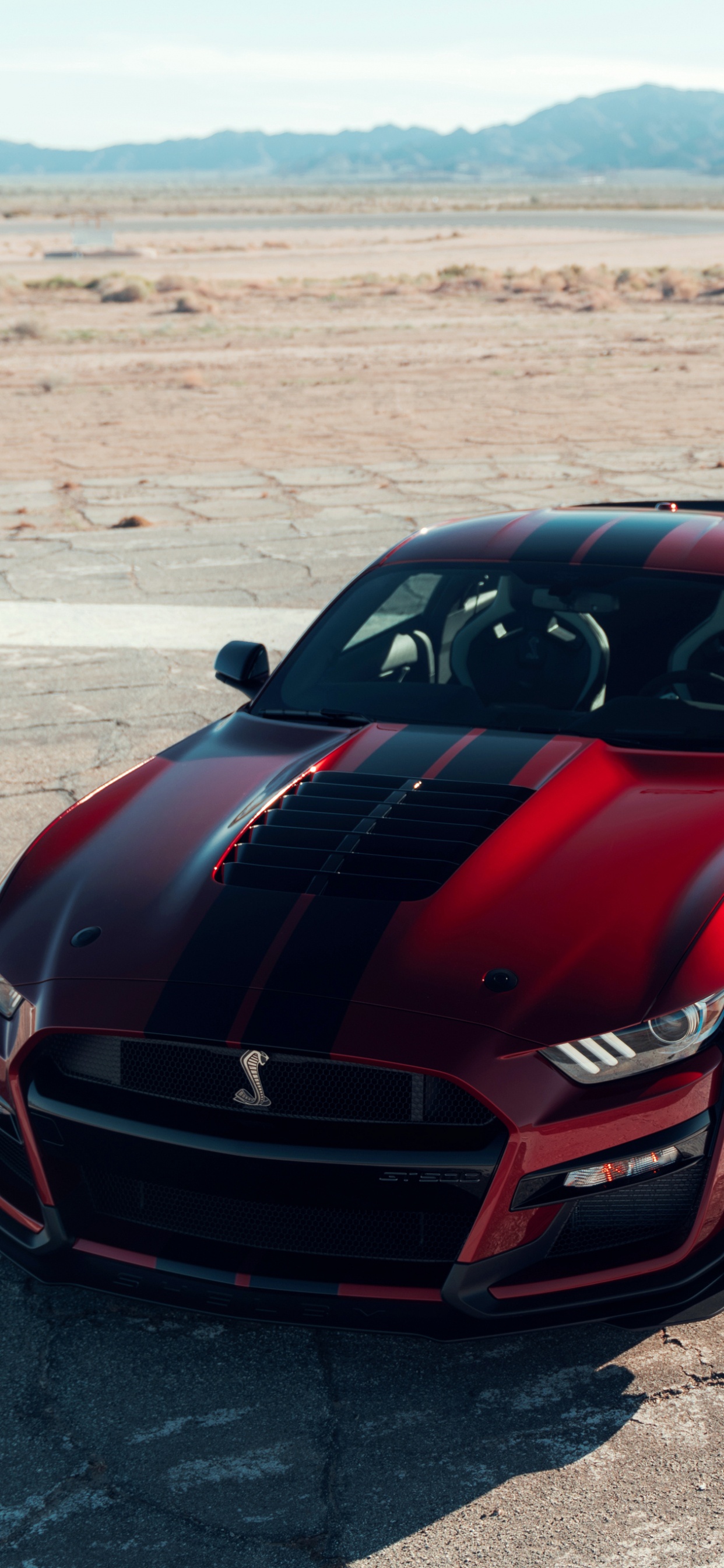 Обои 2020 Форд Мустанг, Шелби Мустанг, ford gt, двигатель v8, нагнетатель в разрешении 1242x2688