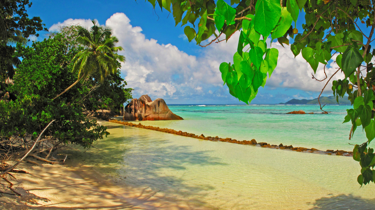 Обои природа, тропическая зона, море, берег, пляж в разрешении 1280x720